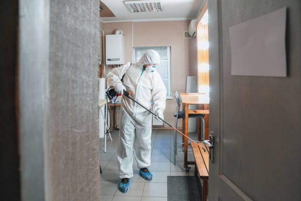  Conashaugh Lakes, PA Mold Removal Pros