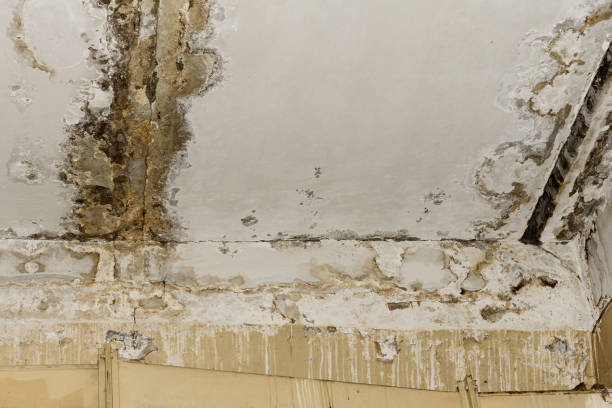 Best Asbestos and Lead Testing During Mold Inspection  in Conashaugh Lakes, PA