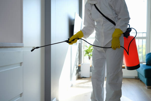 Best Mold Odor Removal Services  in Conashaugh Lakes, PA